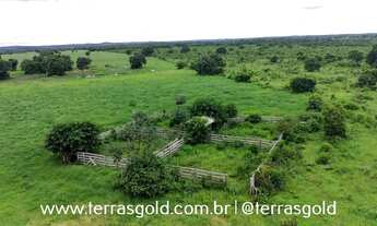 Imagem 5: Fazenda à venda, 250 hectares, Pecuária & Lavoura, 40km até Cuiabá-MT