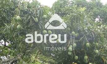 Imagem 3: MACAíBA - Terreno Padrão - Zona de Expanção