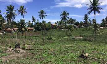 Imagem 6: Vendo excelente Área no município de Goiana / PE