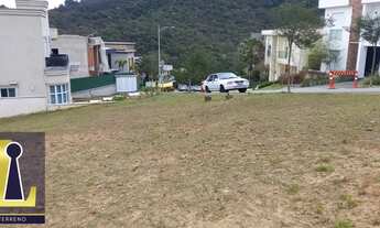 Imagem 3: TAMBORÉ 10 "OPORTUNIDADE ÚNICA" (2 lotes a preço de 1