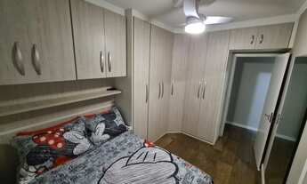 Imagem 6: JABUTICABEIRAS À VENDA