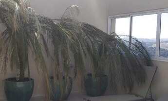 Imagem 5: Cobertura com 4 dormitórios à venda, 292 m² por R$ 1.600.000,00 - Retiro - Jundiaí/SP