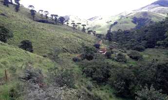 Imagem 7: Fazenda/Sítio/Chácara para venda com 411400 metros quadrados com 2 quartos