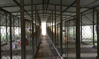 Imagem: Fazenda/Sítio/Chácara para venda possui