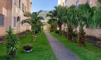 Imagem: Alugo apartamento Pacheco