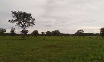 Imagem 5: Vendo sitio próximo anhadui 260 mil