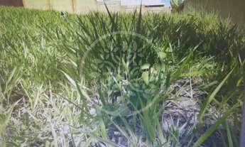 Imagem: Terreno - Ribeirão Preto - Bonfim Paulista