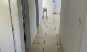 Imagem 7: Alugo ótima casa no Janga na avenida, 3 quartos (1 suíte), sala ampla e terraço