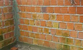 Imagem 5: Vendo terreno 8×16 R$ 10 mil