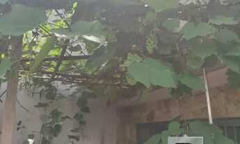 Imagem 6: Casa Térrea com edícula