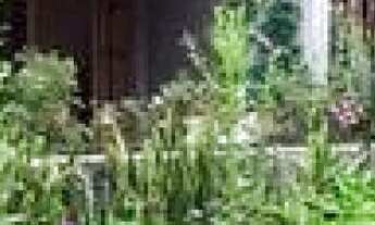 Imagem 6: CASA ASSOBRADADA - PACAEMBU - SP