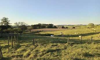 Imagem 3: Sítio para Venda em Saltinho, Jardim Torrezan, 3 dormitórios, 1 suíte, 1 banheiro, 1 vaga