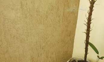 Imagem 4: Apartamento com 2 dormitórios à venda, 58 m² por R$ 365.000,00 - Limão - São Paulo/SP