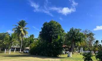 Imagem 5: Casa para Venda em Caucaia, Lagoa do Banana, 3 dormitórios, 1 banheiro