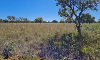 Imagem 2: Fazenda de 519 hectares, toda no arame liso e plana com Rio Perene - Alto Paraíso de Goiás