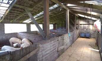 Imagem 2: Sítio no Rancho Jane em Canela!