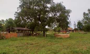 Imagem 6: Vendo sitio próximo anhadui 260 mil