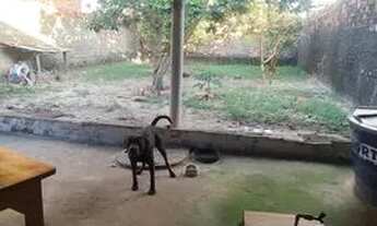 Imagem 6: Vendo Casa - Pq dos Rios $ 240mil