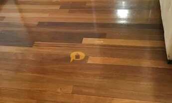 Imagem 6: Apartamento para locação com 60 m², 02 dormitórios, 01 suíte, 01 vaga - Vila da Saúde