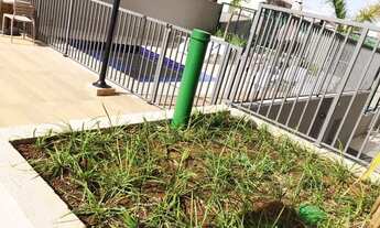 Imagem 7: Apartamento Maravilhoso Condominio Moratta 42 m² 2 Dormitorios