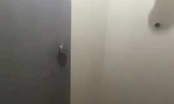 Imagem 6: Kitnet Kitnet com 1 dormitório