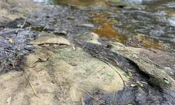 Imagem 6: VENDO TERRENO PARA CHÁCARA DE VERÃO