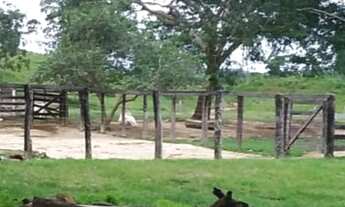 Imagem 3: . Uma Fazenda 400 Alqueires 80 km do município de Rosalândia Tocantins