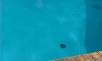 Imagem 6: CASA ASSOBRADADA - REAL PARQUE - SP