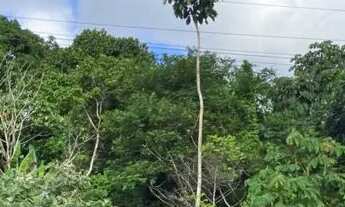 Imagem 2: Lote/Terreno para venda com 21176 metros quadrados em Cascalheira (Abrantes) - Camaçari