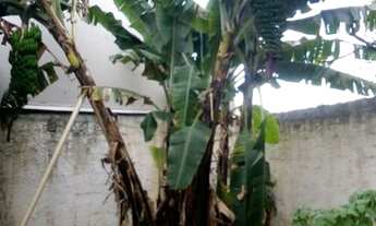 Imagem 6: Casa térrea com 3 quartos, sala, cozinha e 2 vagas na Vila Guapira