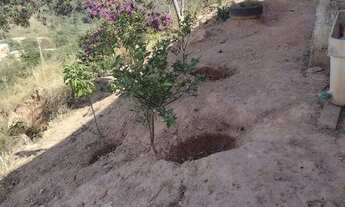 Imagem: Casa em Santa Luzia