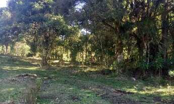 Imagem 6: Chácara linda a venda em Campo alegre sc