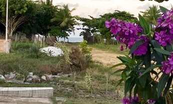 Imagem 2: Casa em prado ba