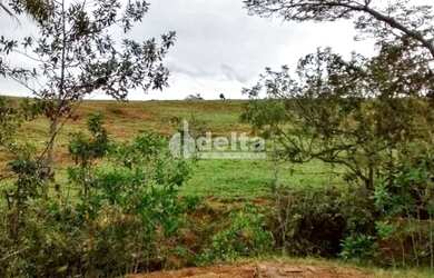 Imagem 5: Fazenda à venda, 3 quartos, Área Rural de Uberlândia - Uberlândia/MG