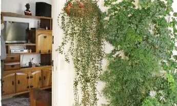 Imagem 4: APARTAMENTO - SANTANA - SP