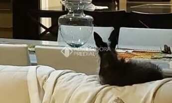 Imagem: Casa para alugar na Agronômica