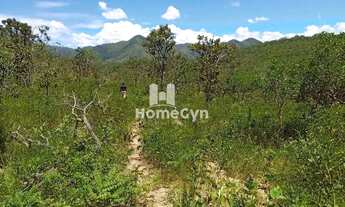 Imagem 5: Fazenda à venda em Niquelândia com 50 alqueires em Goiás