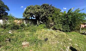 Imagem 2: Terreno à venda, Tarumã - Viamão/RS