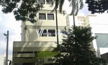 Imagem: Apartamento - Cambuí - Campinas