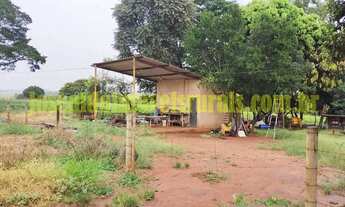 Imagem 4: Fazenda 20,0 alqueires em soja, ribeirão, Monte Alegre de Minas MG