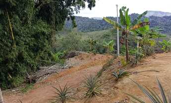 Imagem 5: Vendo sitio15.000m² valor 79.999