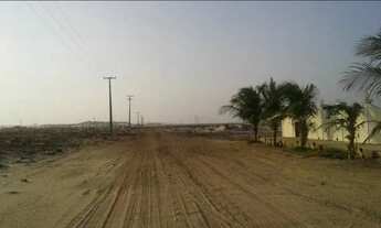 Imagem 5: Vendo ou troco lote em canoa quebrada lote 19 quadra 40