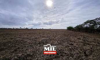 Imagem 2: FAZENDINHA PRODUTIVA COM 11 ALQUEIRES PROXIMO A GOIANIA