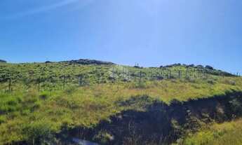 Imagem 3: ÁREA DE 5 HA DE TERRAS NA VARZEA DO CEDRO, SÃO FRANCISCO DE PAULA