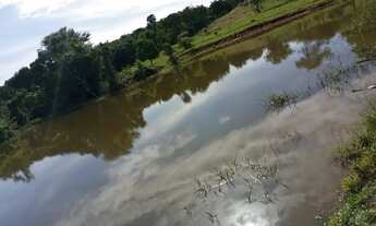 Imagem 6: Fazendinha a venda, em Goiás Velho - GO