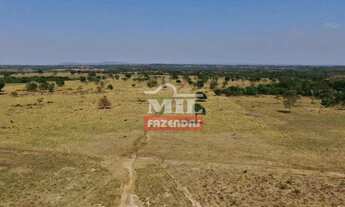 Imagem 7: Fazenda 198 Alqueire (958 hectares) Araguapaz - GO