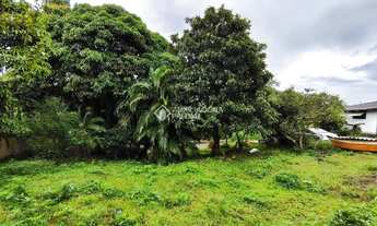 Imagem 4: Oportunidade Imperdível - Terreno Residencial/Comercial na Vargem Pequena