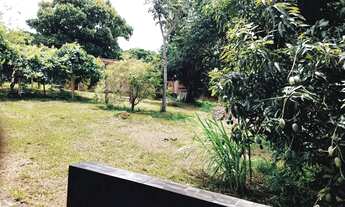 Imagem 6: Chácara para venda oportunidade ponte Alta Norte - Brasília - DF