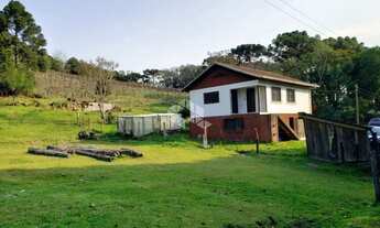 Imagem 3: Vendo chácara com 2 casa e muitas árvores frutíferas na Parada Crístal em Caxias do Sul