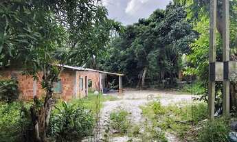 Imagem 2: Vende-se sitio (TARUMÃ AÇU) DETALHES Na descrição